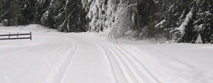 Rīgā atvērta pirmā slēpošanas trase