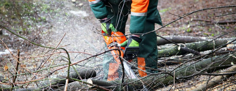 RNP dārznieku brigāde: kā atbrīvoties no brikšņiem