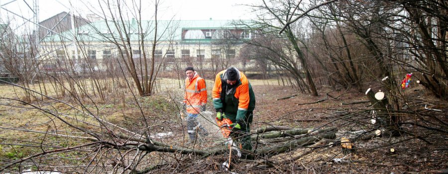 Rīgas namu pārvaldnieks  uzsāk Spodrības mēneša tīrīšanas darbus