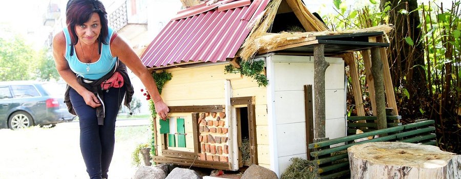 Kошачий домик, который появился в одном из дворов Кенгарагса