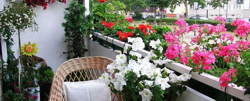 Dizains ar ziediem uz balkona