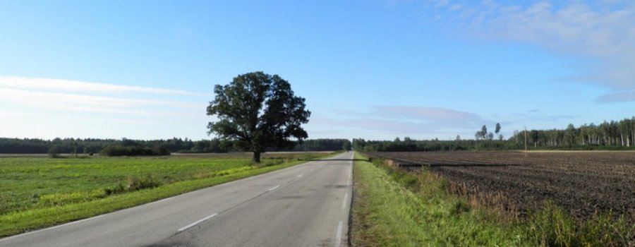 Lange: Latvijas valsts ceļi ziemas sezonā ietaupītos līdzekļus novirzīs grants autoceļu sakārtošanai vasarā